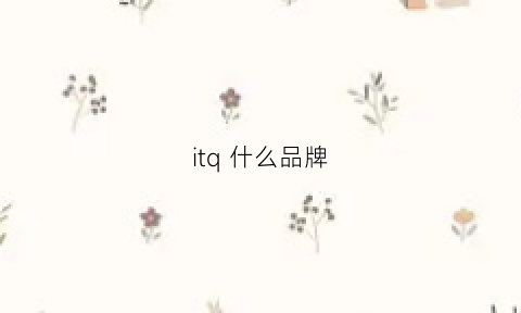 itq什么品牌(it品牌什么档次)